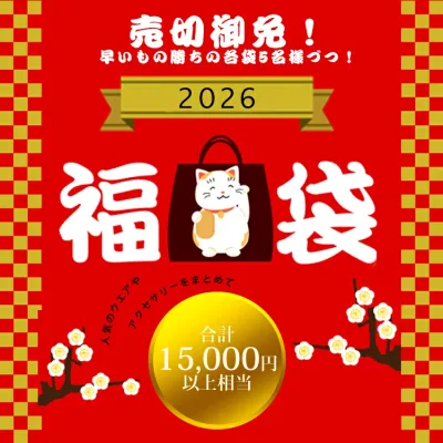 サイズの選べる福袋 人気商品5点が2,980円! 送料無料 総額15,000円相当! 売切御免 運だめし キッズ トップス ワイドパンツ Tシャツ 帽子 アクセサリー クーポン適用不可 5点セット福袋 2026年限定数福袋 無くなり次第終了! ハッピーバッグ ラッキーバッグ