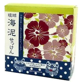 【単品6個セット】琉球海泥せっけん 100g (株)地の塩社(代引不可)【送料無料】