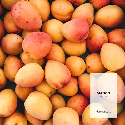 【10ml】甘いマンゴーキャンディーのような香り マンゴーフレグランスオイル(ボディセーフタイプ アロマクラフト用)Mango Fragrance Oil /手作り石鹸 香水 バスボム ルームスプレー サシェ ディフューザー 加湿器 ネブライザー などに