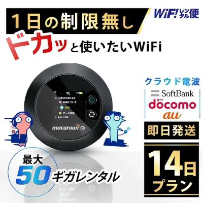 WiFi レンタル 14日 即日発送 レンタルwifi レンタルWi-Fi レンタルワイファイ wifiレンタル Wi-Fiレンタル ワイファイレンタル wi-fi ワイファイ 国内 ポケットwifi ポケットWi-Fi ポケットワイファイ 入院 旅行 一時帰国 sim モバイルWiFi 2週間 501 ソフトバンク50GB 空港