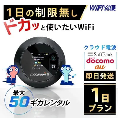 WiFi レンタル 1日 即日発送 レンタルwifi レンタルWi-Fi レンタルワイファイ wifiレンタル Wi-Fiレンタル ワイファイレンタル wi-fi ワイファイ 国内 ポケットwifi ポケットWi-Fi ポケットワイファイ 入院 旅行 一時帰国 sim モバイルWiFi 1日 501 ソフトバンク 50GB 空港