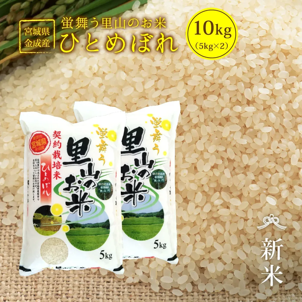新米 里山 ひとめぼれ 白米 米 10kg 令和8年産 送料無料 宮城県産 金成産 《10kg(5kg × 2袋)》 白米 お米 10kg 米10kg 米10キロ 宮城県 ひとめぼれ 国内産米 精米 単一原料米 検査米 ブランド米