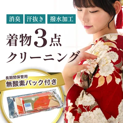 着物3点クリーニング+窒素ガス入り真空パック 消臭・汗抜き・撥水オプション可能 凛匠堂