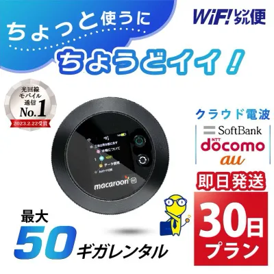 WiFi レンタル 30日 即日発送 レンタルwifi レンタルWi-Fi レンタルワイファイ wifiレンタル Wi-Fiレンタル ワイファイレンタル wi-fi ワイファイ 国内 ポケットwifi ポケットWi-Fi ポケットワイファイ 入院 旅行 一時帰国 sim モバイルWiFi 1ヶ月 501 ソフトバンク50GB 空港