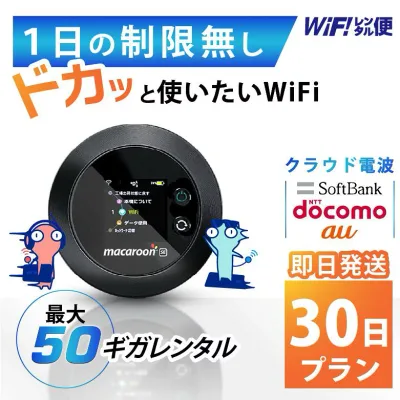 WiFi レンタル 30日 即日発送 レンタルwifi レンタルWi-Fi レンタルワイファイ wifiレンタル Wi-Fiレンタル ワイファイレンタル wi-fi ワイファイ 国内 ポケットwifi ポケットWi-Fi ポケットワイファイ 入院 旅行 一時帰国 sim モバイルWiFi 1ヶ月 501 ソフトバンク50GB 空港