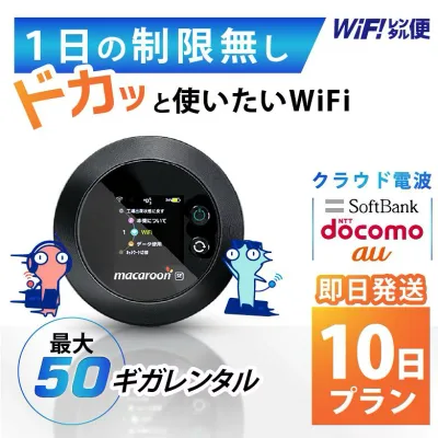 WiFi レンタル 10日 即日発送 レンタルwifi レンタルWi-Fi レンタルワイファイ wifiレンタル Wi-Fiレンタル ワイファイレンタル wi-fi ワイファイ 国内 ポケットwifi ポケットWi-Fi ポケットワイファイ 入院 旅行 一時帰国 sim モバイルWiFi 501 ソフトバンク 50GB 空港
