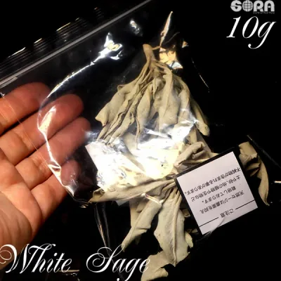 ホワイトセージ 10g 浄化 セージ 浄化用 パワーストーン 天然石 お清め パワーストーン 浄化用