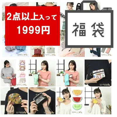 福袋 2026 レディース 雑貨 セール ハッピーバッグ 小物 ラッキーバッグ ファッション小物2点以上 福袋レディース 財布 通帳ケース キーケース 人気 シンプル かわいい かわいい おしゃれ 韓国ファッション 2026 超お得な福袋 メール便送料無料