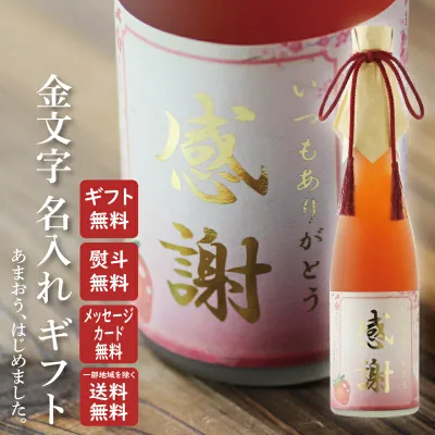 金文字 名入れ あまおうはじめました 苺梅酒 リキュール 篠崎株式会社 6度 500ml瓶 地域別 送料無料 セット リキュール お酒 ギフト プレゼント 飲み比べ 内祝い 誕生日 男性 女性 敬老の日 残暑見舞い