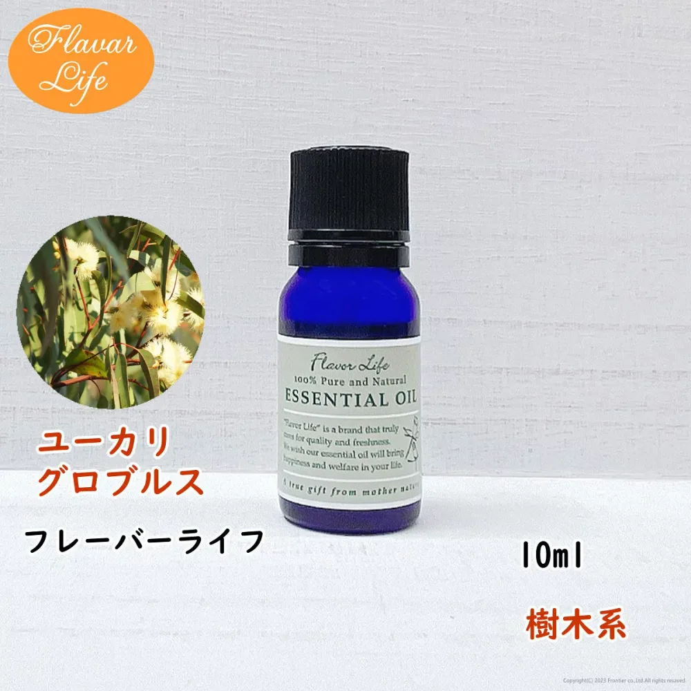 フレーバーライフ 精油 ユーカリグロブルス 10ml 天然精油 美容 コスメ 香水 アロマオイル お香 エッセンシャルオイル アロマディフューザーや アロマポットに さくらさく