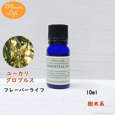 フレーバーライフ 精油 ユーカリグロブルス 10ml 天然精油 美容 コスメ 香水 アロマオイル お香 エッセンシャルオイル アロマディフューザーや アロマポットに さくらさく