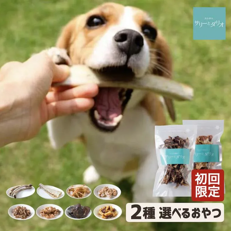 犬 おやつ 無添加 国産 お試し 初回限定【選べる2種】 ジャーキー 骨 アレルギー 歯磨き 口臭 歯石除去 歯石ケア 長持ち ボーンささみ 豚耳 軟骨 レバー さつまいも 馬肉 小型犬 中型犬 大型犬 シニア サリダリ