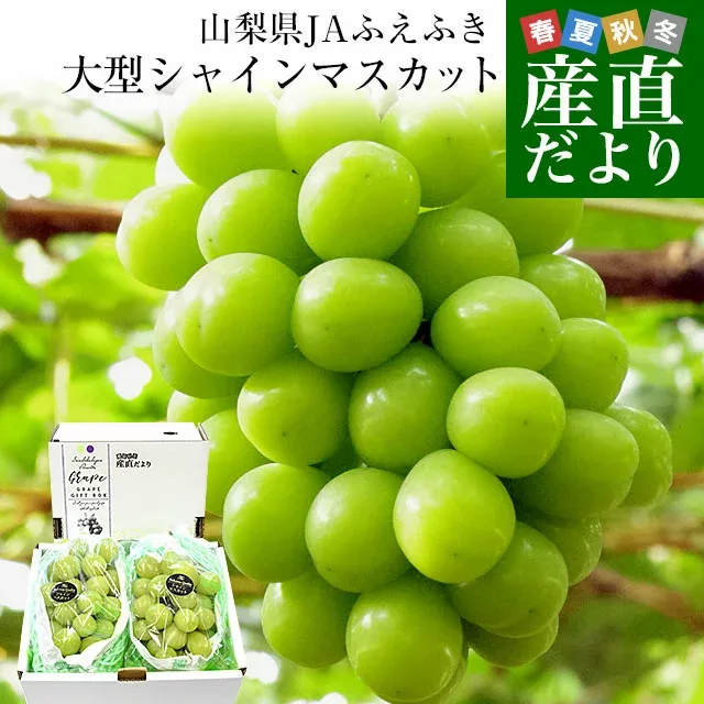 山梨県産 JAふえふき 大型シャインマスカット 青秀品 1.2キロ(2房)送料無料 ぶどう ブドウ 種なしぶどう クール便発送