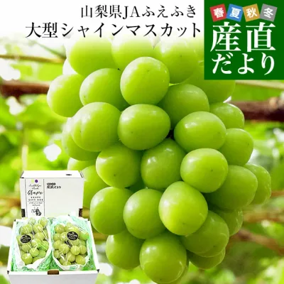山梨県産 JAふえふき 大型シャインマスカット 青秀品 1.2キロ(2房)送料無料 ぶどう ブドウ 種なしぶどう クール便発送
