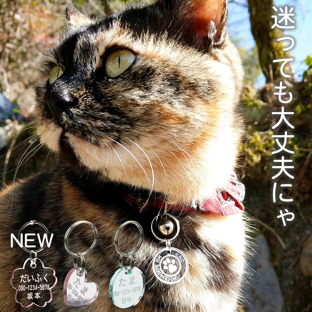猫用 3gの迷子札(同一内容2個セット)超軽量 ネームタグ 文字が消えない 彫刻 首輪 名札 刻印 アクリル製 かわいい おしゃれ 犬 猫 ペット 名入れ オーダーメイド 可愛い お洒落 カワイイ ネコ 極小 1円玉 軽量 ハーネス 猫用 猫の日