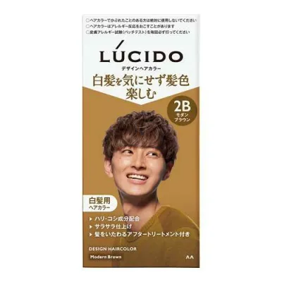 マンダム ルシード デザインヘアカラー モダンブラウン 白髪染め メンズ (1セット) 男性用 白髪染め