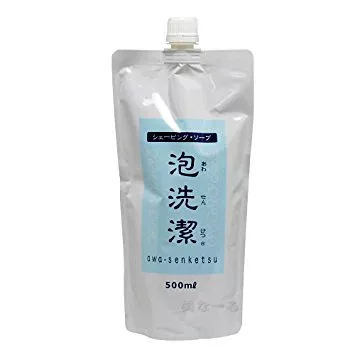 泡洗潔(あわせんけつ)500ml【取り寄せ商品A】