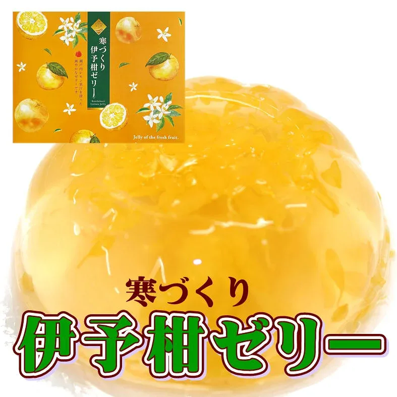 寒づくり伊予柑ゼリー 155g×12個入 ギフト 瀬戸内レモン使用 愛媛県産 御祝 内祝 残暑見舞い 御供