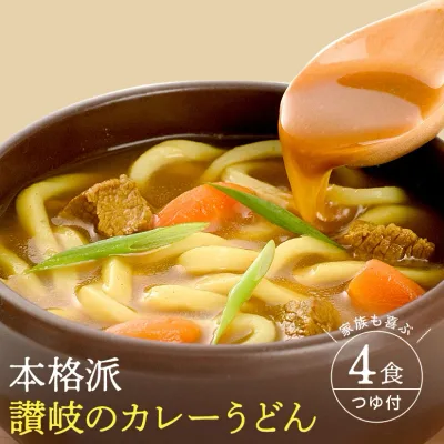 カレーうどん 讃岐うどん 250g 2袋 カレースープ付 お試し カレー 楽天限定販売 讃岐カレー 辛口 濃厚スープ【送料無料 メール便】