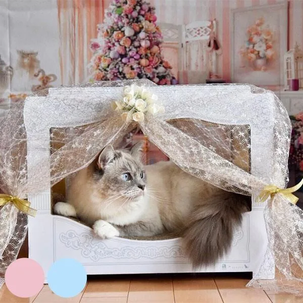 猫窝,猫咪宠物床(猫咪用品,猫抓柱)