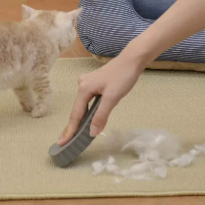 ペットの毛取りスポンジ ケトール ( ペット 毛取り 毛 スポンジ 抜け毛 掃除 いぬ ねこ )