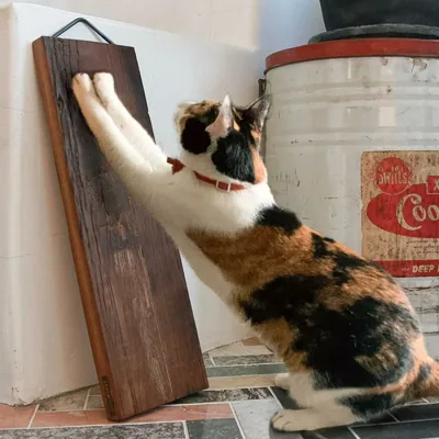 爪とぎ 枕木 縦型 立ったまま ( 爪研ぎ つめとぎ 猫 天然木 木製 縦置き ストレス解消 遊び おしゃれ )