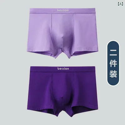 ボクサーパンツ 下着 ショーツ メンズ 紫色の ズボンと 下着 綿 ボクサー ブリーフな な 魅惑的 指定 テスト ブリーフ