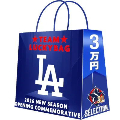 MLB ドジャース チーム福袋 MLB 2026シーズン開幕記念 2万円 福袋