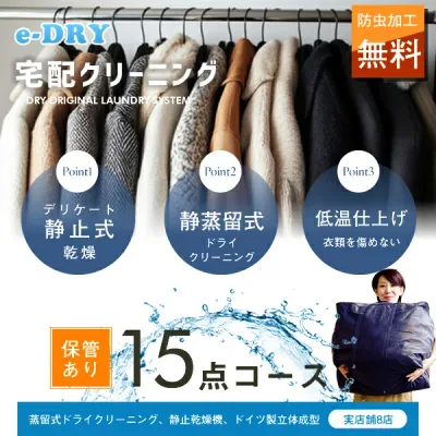 クリーニング 保管 宅配クリーニング \ブロガー推薦!/ 保管付き 詰め放題 最大15点 クリーニング カシミアクリーニング スキーウェアクリーニング 天然石鹸クリーニング【サービス特集認定商品】