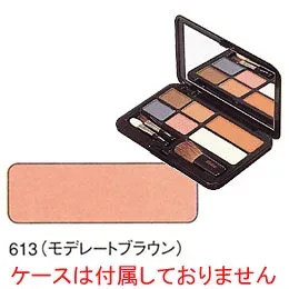 エルエリートチークカラー 613(モデレートブラウン)【ジュポン化粧品本舗】