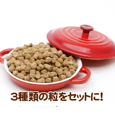 お試しセット500g×3袋/ 国産 保存料なし お試しセット 犬用 ドッグフード トライアル