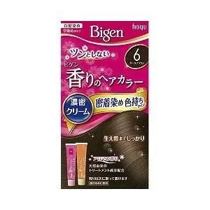 【27個セット】【1ケース分】 ビゲン 香りのヘアカラー クリーム 6 ダークブラウン 1セット×27個セット 1ケース分 【正規品】【dcs】