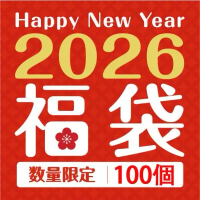 【年末特別企画】【ランダム3セット】サマーニット ニットtシャツ レディース カットソー クルーネック 半袖tシャツ 半袖 トップス 丸首 春夏対応 カジュアル エレガント Tシャツ OL 通勤 シンプル
