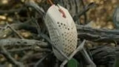 【中古】【非常に良い】Finalmouse Ultralight 2 - Cape Town USB ゲーミングマウス
