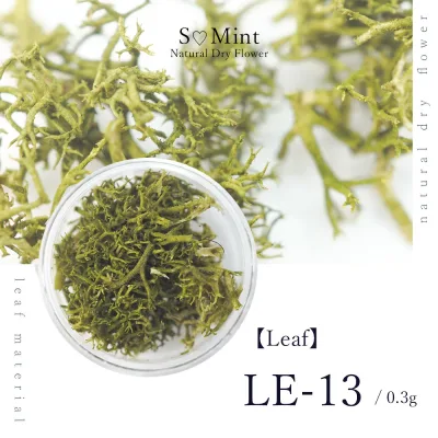 ネイル リーフ 押し花 ドライフラワー ハンドメイド【Leaf LE-13】エスミント 高品質 ボタニカル 葉 押し花 押花 ネイルアート ナチュラル ドライフラワー 押し花ネイル 花材 パーツ ネイルパーツ お花ネイル