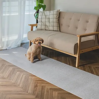 サンコー 廊下敷き マット カーペット はっ水 消臭 日本製 おくだけ吸着 ロングマット 60×300cm ライトグレー KP-40