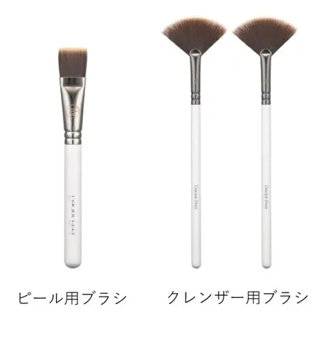 ダクトピール専用ブラシセット(クレンザー用×2/ピール用×1)(業務用)