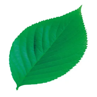Yamako Yobi Commercial use PP laminated die-cut clear sheet (approx. 8.5 x 14.8cm) Konoha 200 pieces Commercial supplies for hotels, inns, and restaurants yamaco65787 Popular Recommended Tableware | Related words Scandinavian small bowl plate set Lightweight Party bowl Microwave safe Unbreakable Japanese style Large capacity