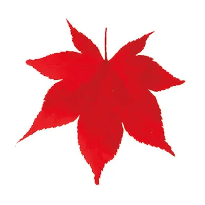 Yamako Yobi Commercial PP laminated die-cut mini clear sheet (approx. 7.5 x 7.4cm) Red maple 200 pieces Commercial supplies for hotels, inns and restaurants yamaco65785 Popular Recommended Tableware | Related words Cup Break-resistant Small bowl For guests Tea bowl White Japanese style Gift Party Lightweight Large plate
