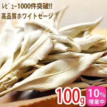 【10%増量中】ホワイトセージ 100g 浄化用 無農薬/高品質 カリフォルニア産 天然石 パワーストーンの浄化に クラスタータイプ