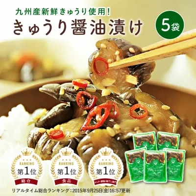 すなお食堂 きゅうり醤油漬け 100g×5袋 国産 ごはんのお供 漬物 宮崎県産 きゅうり 甘辛醤油漬け 無添加 【出荷目安:ご注文後3日〜5日営業日】