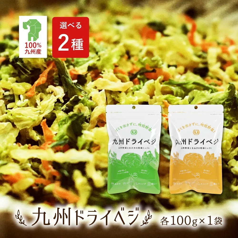 \ワケアリ/すなお食堂 九州ドライベジ【最短賞味期限:2026年10月8日】100g×1袋 乾燥野菜 国産 無添加 野菜 ミックス ワカメ入り みそ汁の具 仕送り 時短 低温エアーズドライ 常備 単身ドライ野菜 ドライベジタブル 【出荷目安:ご注文後3日〜5営業日】