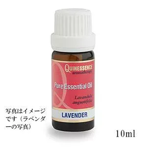 ローズマリー (10ml) 100% エッセンシャルオイル ( 精油 ・ アロマオイル )