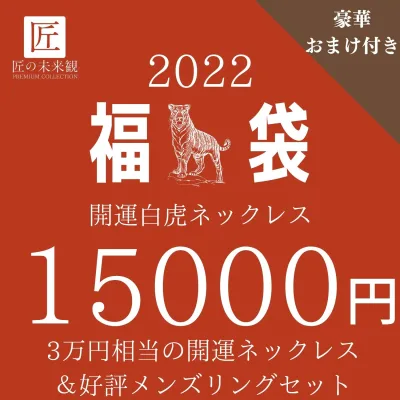 寅 開運 シルバーネックレス メンズリング アクセサリー福袋メンズ ブランド ペア お得女性 おしゃれ 大人 可愛い 寅年 トラ 虎 福袋 錆びない つけっぱなし シンプル