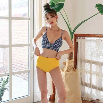 Swimsuit Ladies' Separate Bikini Body Covering Moderate Exposure High Waist Bustier Chest Pad Wire Plaid Pattern Spring Summer Hot Spring Sea Beach Resort Swimwear 20s Adults Cute