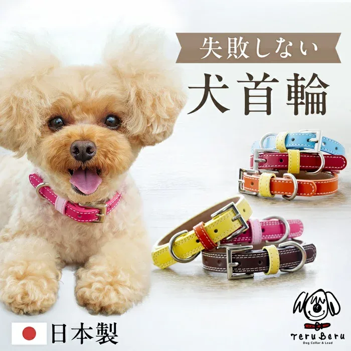 犬 首輪 犬首輪 犬の首輪 おしゃれ かわいい ブランド 名入れ 迷子札 中型犬 小型犬 小型犬用 超小型犬 いぬ くびわ 革 レザー 皮 軽い 犬用首輪 OTM-3
