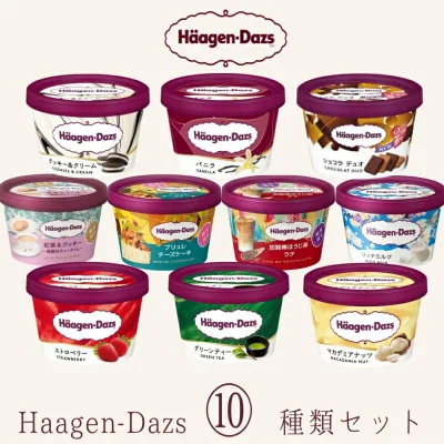 お中元 夏ギフトハーゲンダッツ アイスクリーム ミニカップギフト セット10個