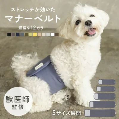 【8/24 20時〜先着10名様◎50%OFF】【獣医師監修◎わんちゃんに優しい設計】犬 マナーベルト パンツ マナーパンツ ベルト マナーウェア マナー用品 おむつ 介護 ドックウェア 服 しつけ 介護用品 シンプル おしゃれ td-1030