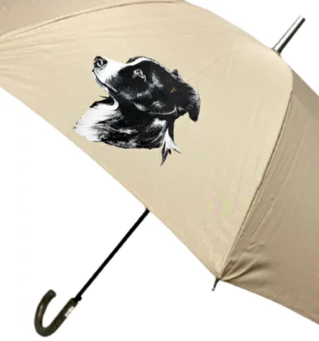 ボーダーコリー 傘 65cm 直径110cm レディース メンズ 男女兼用 晴雨兼用傘 かわいい おしゃれ 梅雨 レイングッズ ビンテージ アンティーク 輸入絵柄 UVカット 風に強い 耐風 犬柄 いぬ 犬グッズ dog 犬プリント