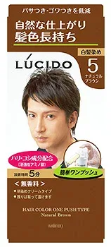 マンダム ルシード ワンプッシュケアカラー 5 ナチュラルブラウン 男性用 白髪染め 【医薬部外品】